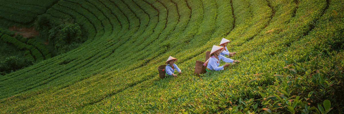 DuLichThaiNguyen.vn